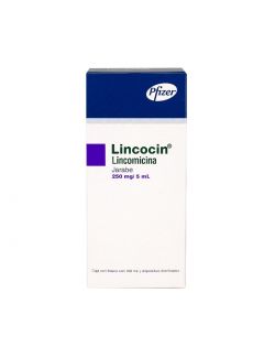 Lincocin Jarabe 250mg/5mL Caja Con Frassco Con 100mL RX2