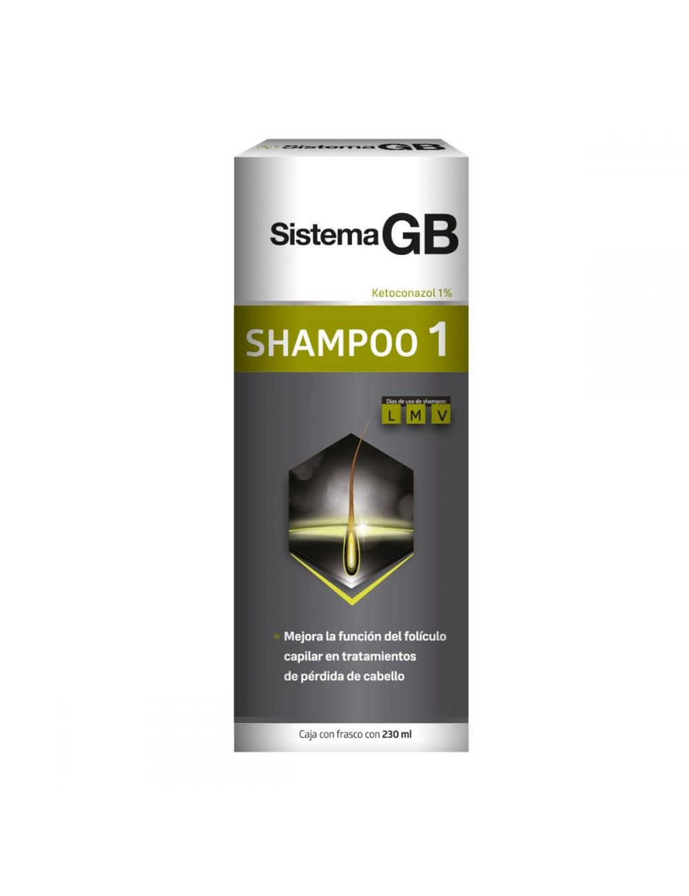 Sistema GB Shampoo Uno Frasco Con 230 mL – Caspa