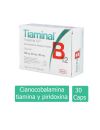 Tiaminal B12 Trivalente AP 250 ug/50 mg/100 mg Caja Con 30 Cápsulas